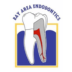 bay-area-endodontics